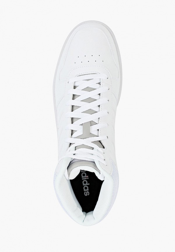adidas / Кеды (ad002amfwtq9) фото №4 adidas / Кеды (ad002amfwtq9) фото №4