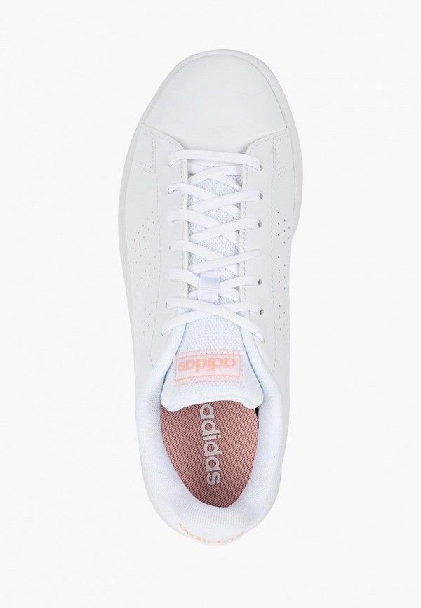 adidas / Кеды (ad002awfwtr3) фото №4 adidas / Кеды (ad002awfwtr3) фото №4