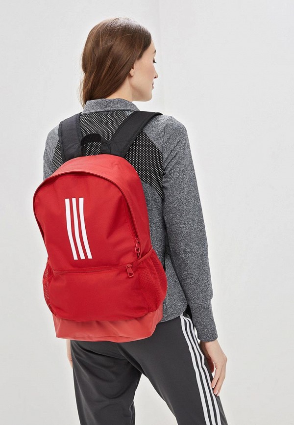 adidas / Рюкзак (ad002bueedf6) фото №4 adidas / Рюкзак (ad002bueedf6) фото №4