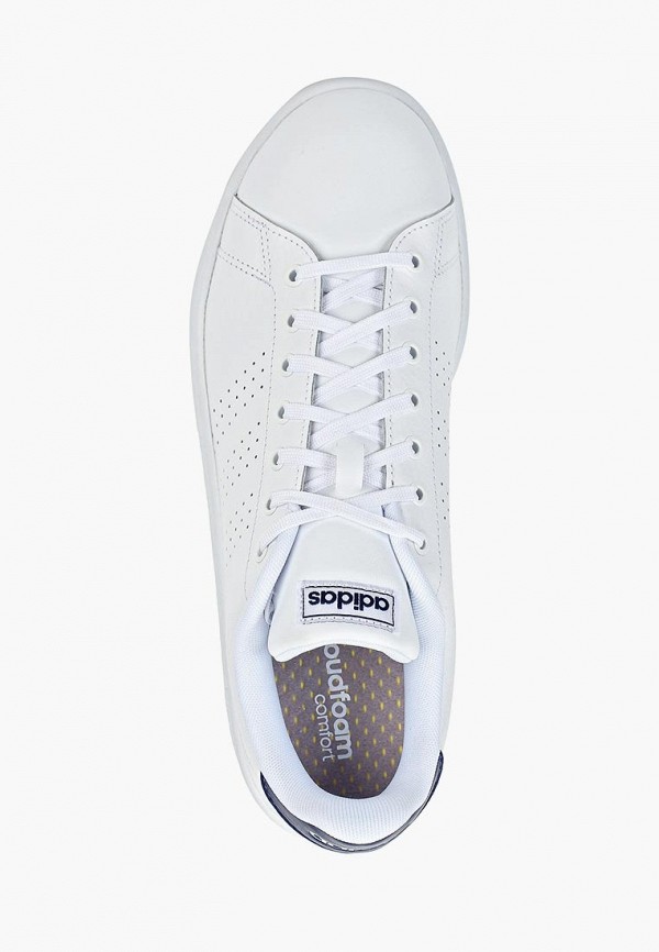 adidas / Кеды (ad002ameefk4) фото №4 adidas / Кеды (ad002ameefk4) фото №4