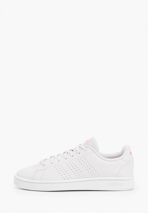 adidas / Кеды (ad002awhlok3) фото №1 adidas / Кеды (ad002awhlok3) фото №1