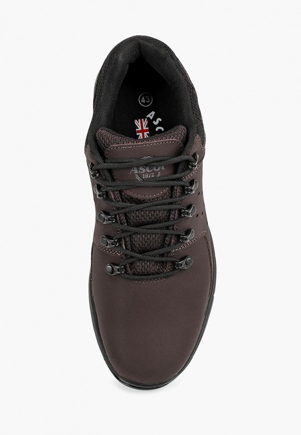 Ascot / Ботинки трекинговые (as821amcjtv1) фото №4