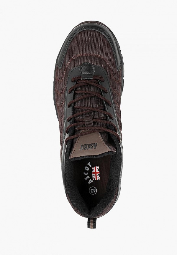 Ascot / Кроссовки (as821amelaw1) фото №4