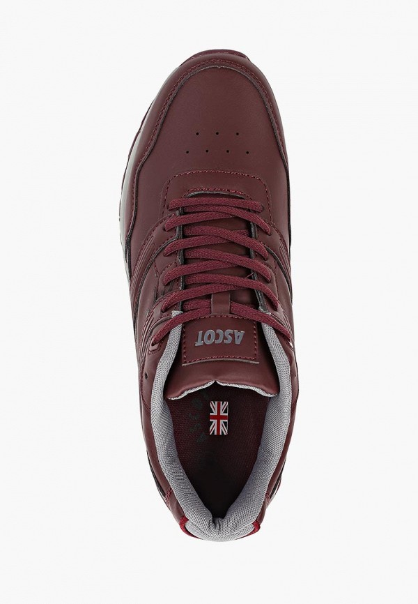 Ascot / Кроссовки (as821amelba1) фото №4