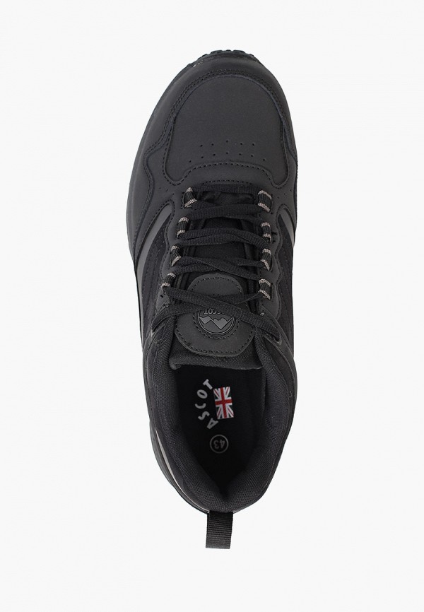 Ascot / Кроссовки (as821amgftx7) фото №4