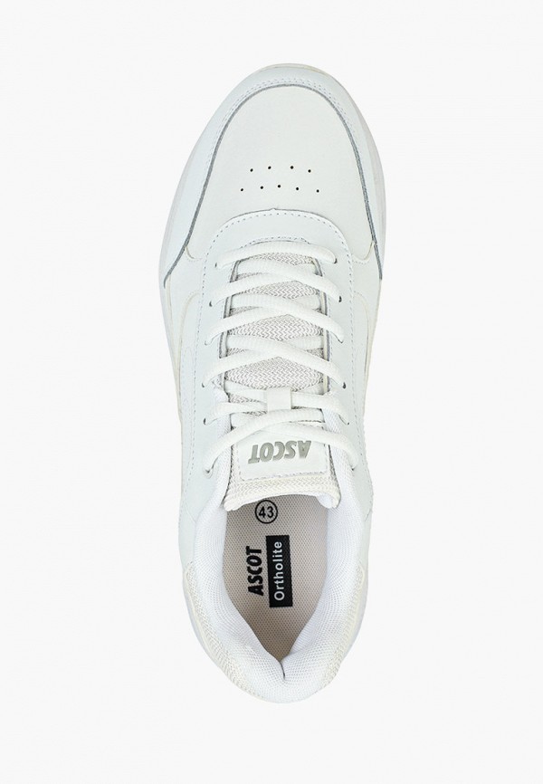 Ascot / Кроссовки (as821amgfty4) фото №4