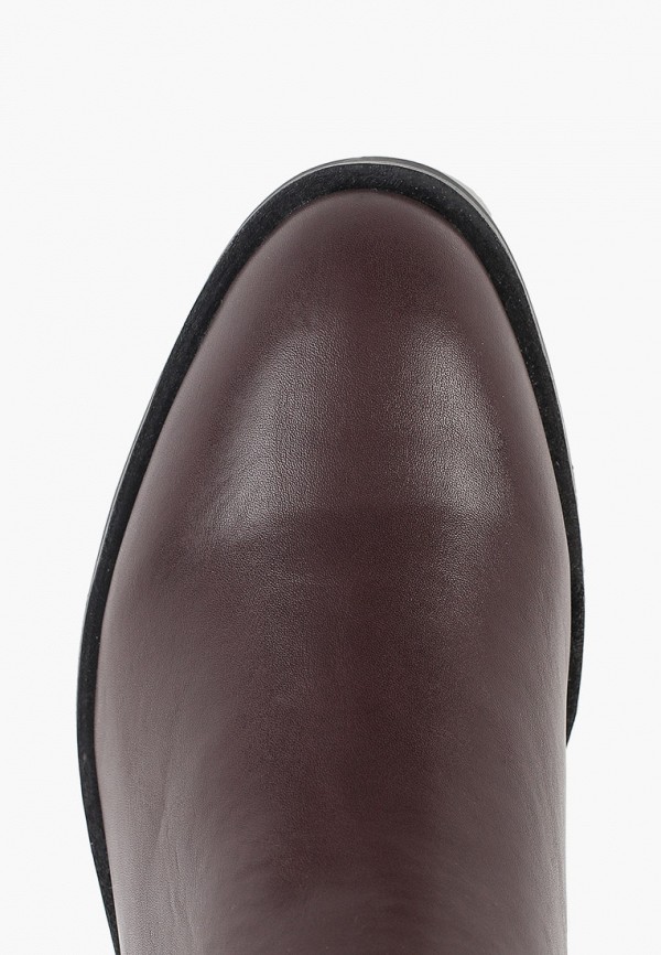 Dorothy Perkins / Сапоги (do005awgysd5) фото №4